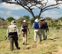 Picturesque Guided Walk